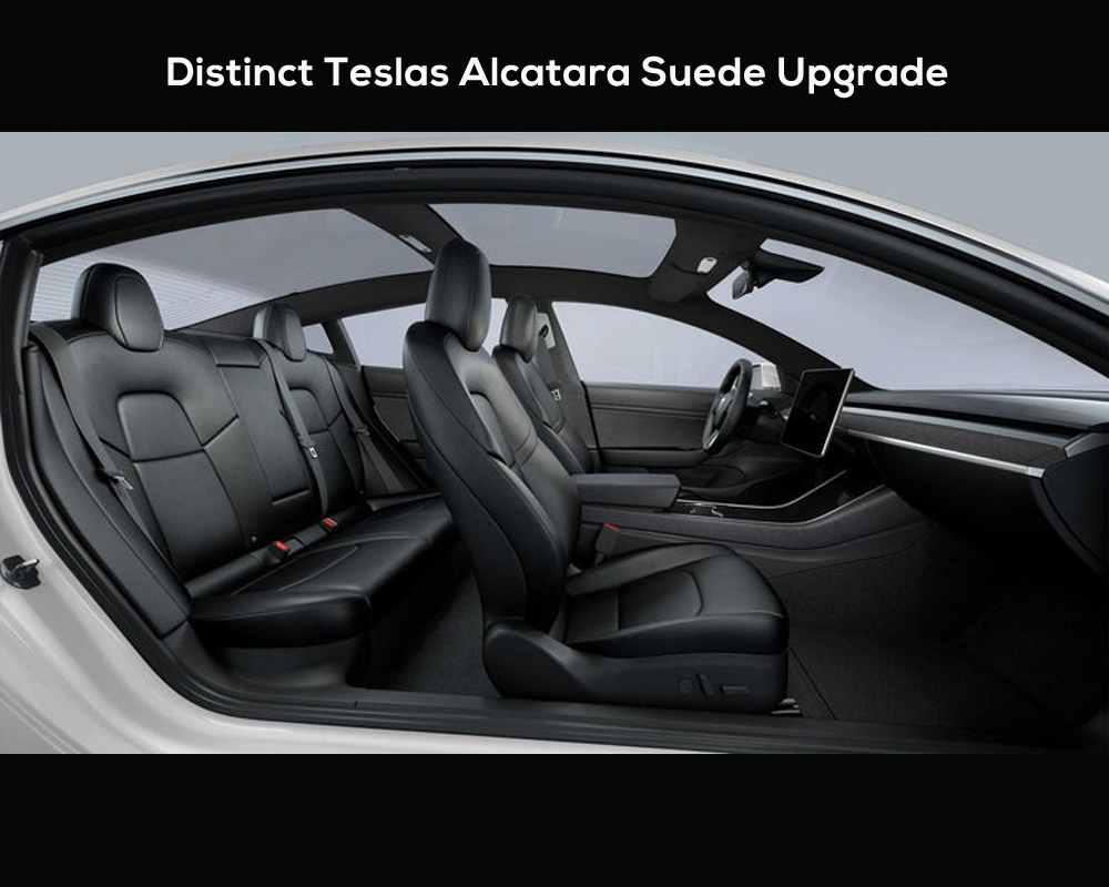 tesla headliner2 tesla headliner2
