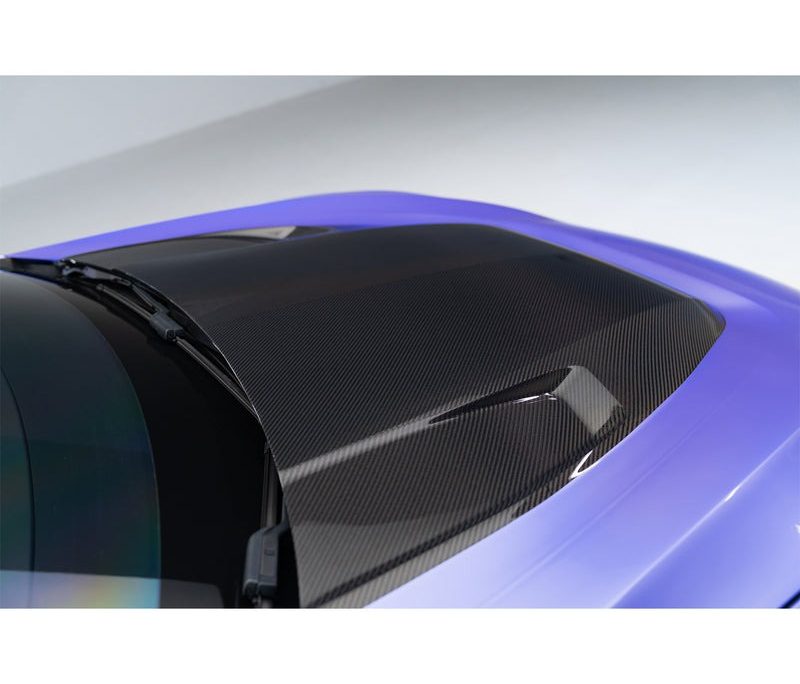 Tesla Model S Plaid Aero Hood5 Tesla Model S Plaid Aero Hood5