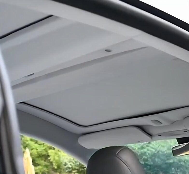 Voice controlled Electric Tesla Voice controlled Electric Tesla