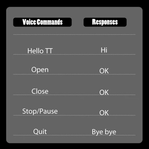 Voice controlled Electric Tesla3 Voice controlled Electric Tesla3
